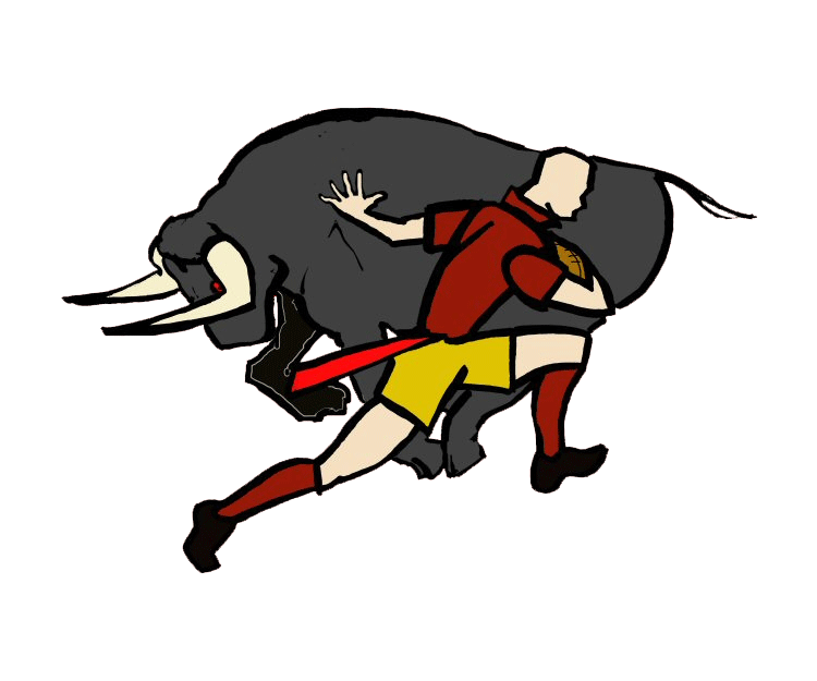 Tagrugby